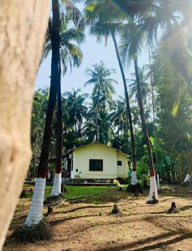 Savita Farmhouse photo 4