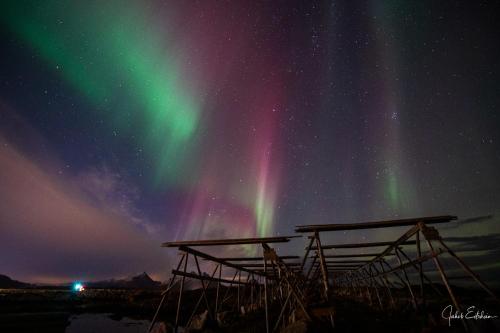 Fish factory -The real Lofoten experience Ballstad