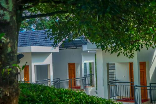 Winter Note Resorts, Munnar (foto 3)
