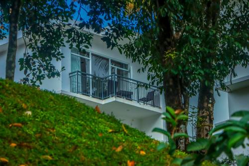 Winter Note Resorts, Munnar (foto 6)