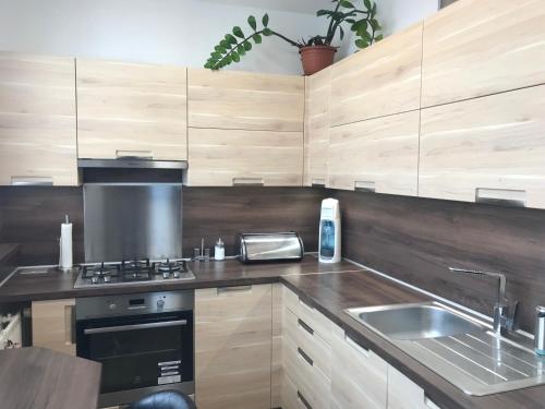 Novy apartman v Ostrave u Misky s akvariem a vyhledem z balkonu na Beskydy in Svinov