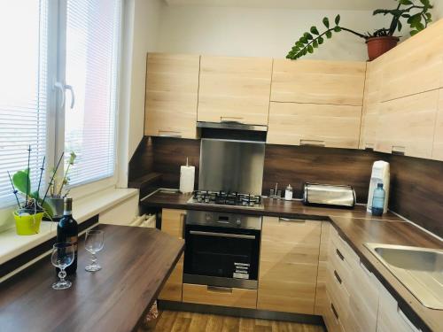 Novy apartman v Ostrave u Misky s akvariem a vyhledem z balkonu na Beskydy in Svinov