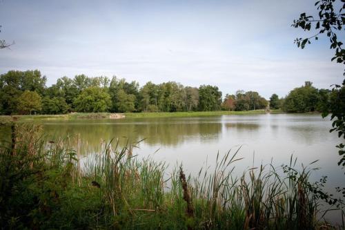 Bidaous in Villeneuve-de-Marsan