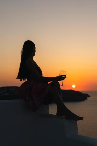 Caldera View Private Villa - image 7