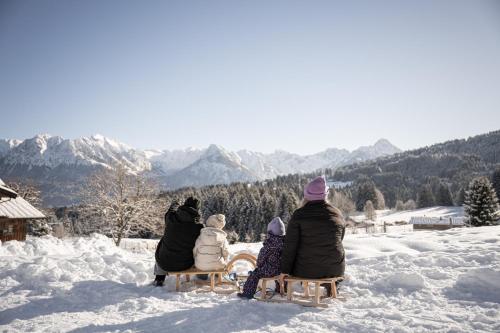 Alpe Dornach - image 7