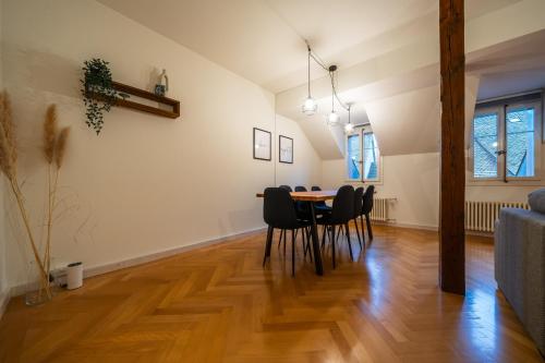 Old town apt in the heart of Thun with garden