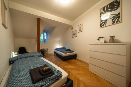 Old town apt in the heart of Thun with garden photo 4