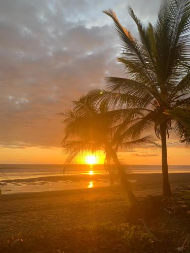 Miguel Surf Camp in Quepos