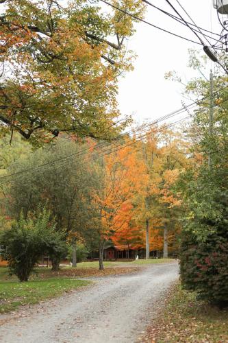 The Bellefonte Campground in Bellefonte, USA