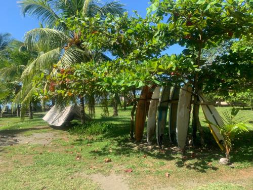 Miguel Surf Camp in Quepos