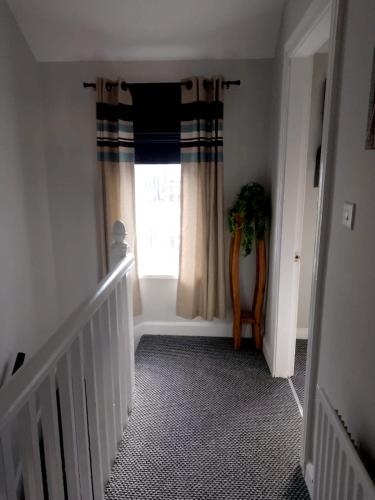 Máire Toiréasa – cosy refurbished property in the Gaeltacht Quarter (Maire Toireasa – cosy refurbished property in the Gaeltacht Quarter) in Sydenham