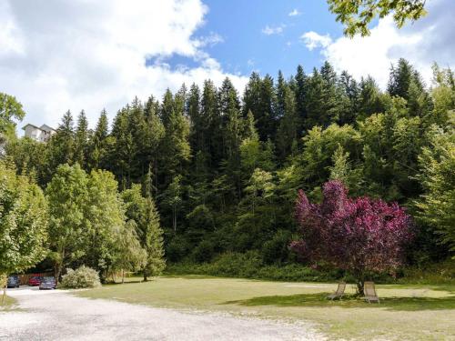 Appartement Villard-de-Lans, 2 pièces, 4 personnes - FR-1-515-192