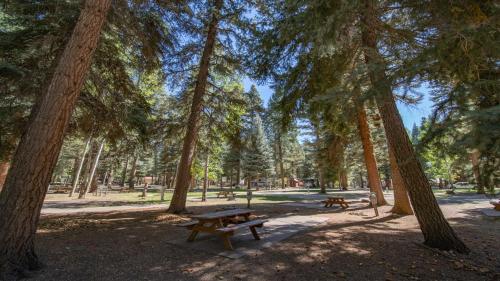 The Iris Cabin #1 at Blue Spruce RV Park & Cabins