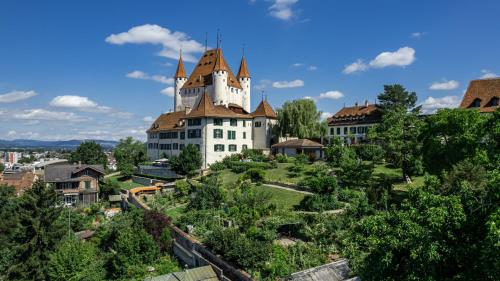 Old town apt in the heart of Thun with garden