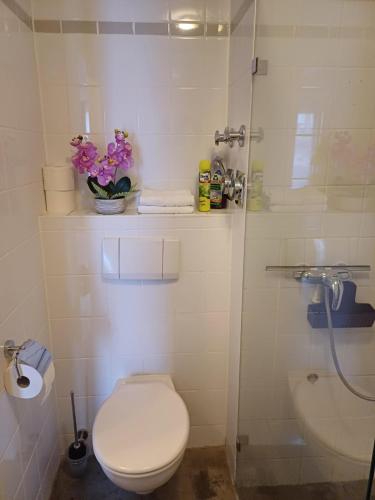 商务公寓 商务公寓