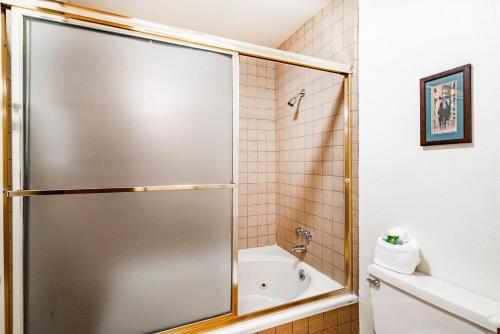 1 Bedroom Condominium #26 image 9