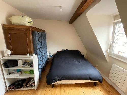 Joli 2 pièces - Krutenau Austerlitz, Strasbourg (photo 5)