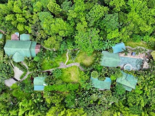 Luxury Villa and Bungalows, Фортуна (фото 2)