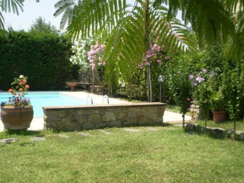 Nido Del Merlo - image 11