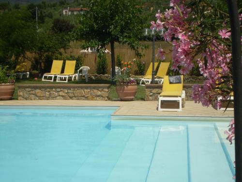 Nido Del Merlo - main image