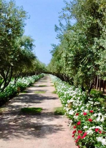 Dar Zeitoun Dar Zeitoun