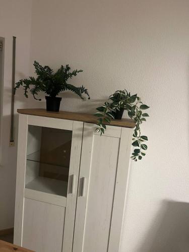 Sunset Apartment mit Rheinblick in Urbar