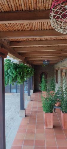Risgua in Tinjaca