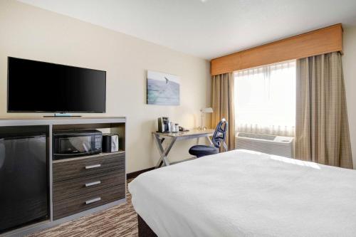 King Room with Sofa Bed