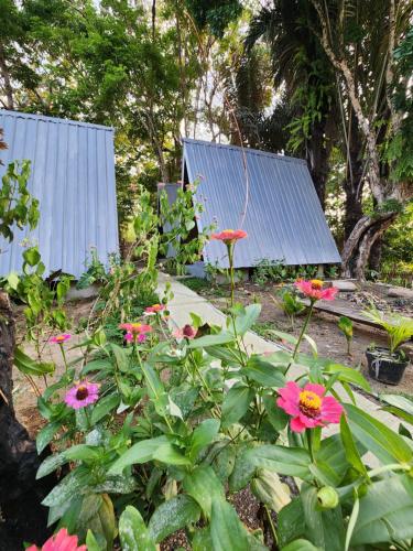 D'flora Bungalow & Glamping