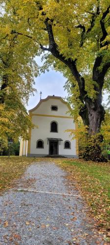 Ferienwohnung Bayerwaldblick