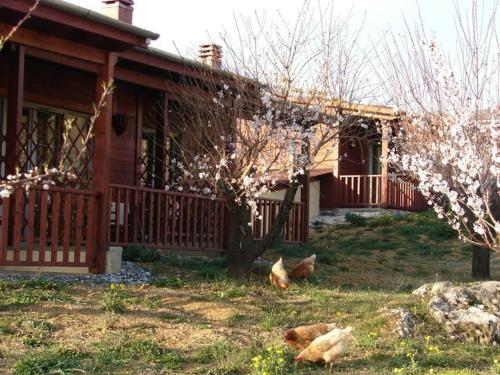 Villa Rustica - image 10