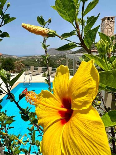 Mountain side oasis with view and pool