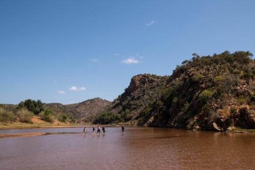 Nkula Camp - Pafuri Walking Safari's Nkula Camp - Pafuri Walking Safari's