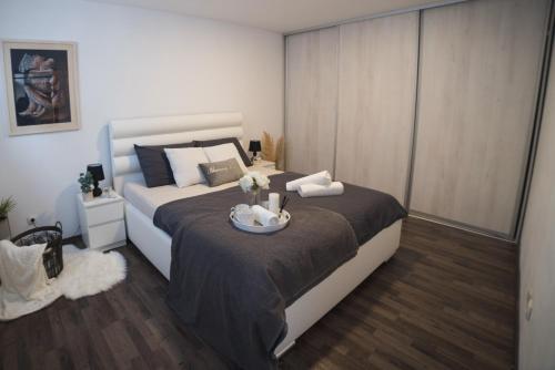 Apartments Dijana Zagreb Center - Free Parking