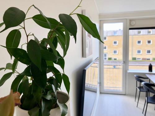 Moderne lejlighed med privat parkering