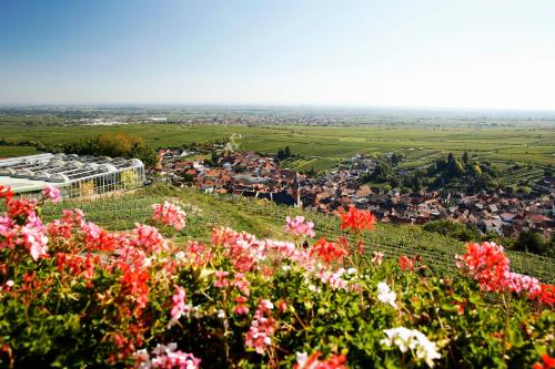 Arens Hotel 327mNN in Sankt Martin