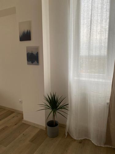 Apartmány Kladno - Libušín