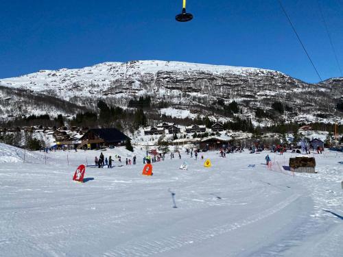 Moderne hytte i Svandalen, Sauda - nær skisenter og natur