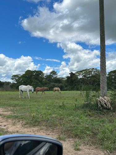 PANTANAL SANTA CLARA