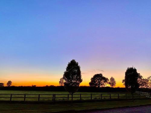 New Farm - image 5