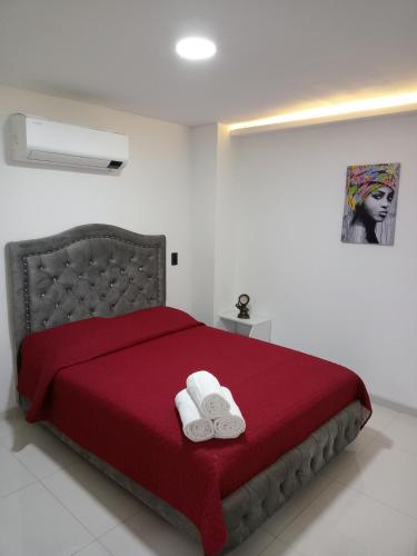 B&B Cartago - Apartamento cerca al Centro comercial Nuestro Cartago - Bed and Breakfast Cartago