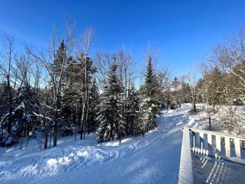 Jay Peak Mountain Chalet! Secluded, pool, snowsports