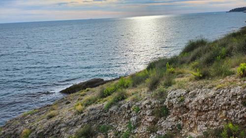 Marelis condo with sea view - image 3
