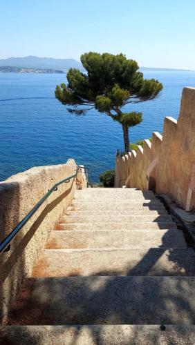 Front de mer - Emplacement prisé au calme - T2 moderne et entièrement climatisé - Tout à pieds - Location saisonnière - Sanary-sur-Mer