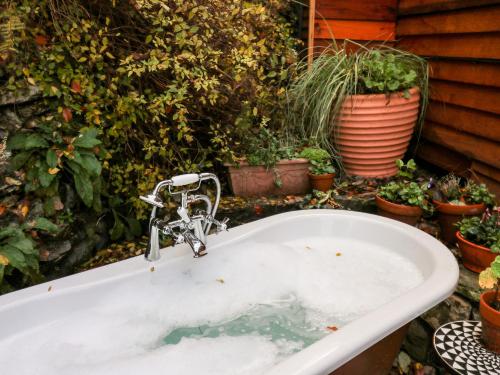 The Kites Nest The Kites Nest