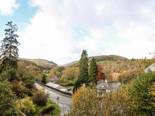 The Kites Nest The Kites Nest