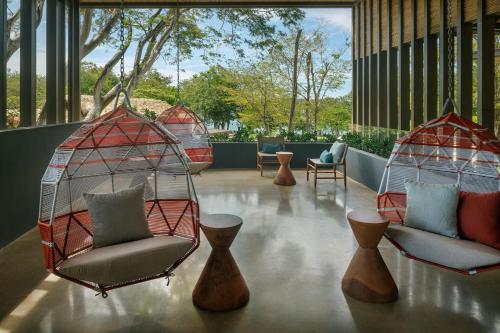 Restaurant, El Mangroove, Autograph Collection in Panama