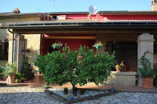 A Casa di Amici 4