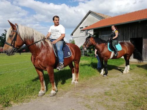 Ponyhof Adam Urlaub auf dem Bauernhof