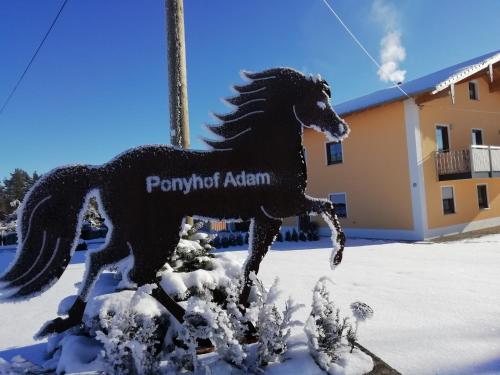 Ponyhof Adam Urlaub auf dem Bauernhof